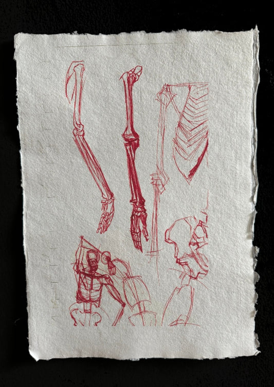 Skeleton study with red pen